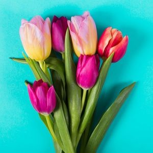 Meet your Posher, Annastashia